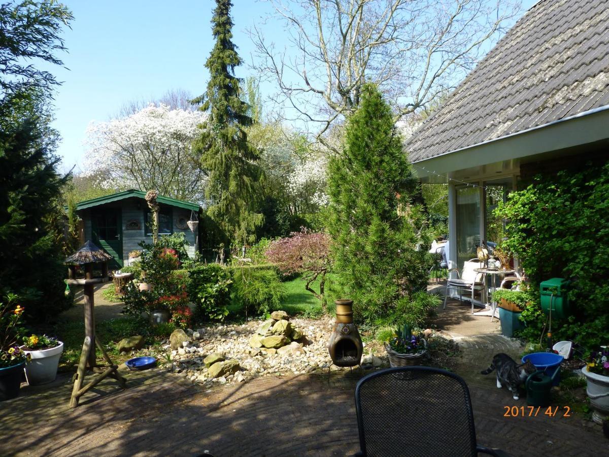 Wiersse 68 *