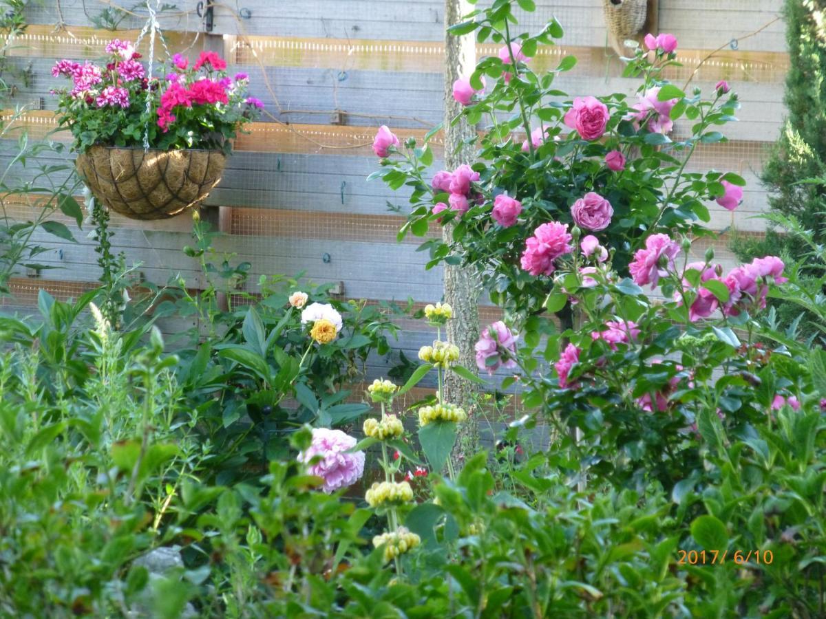 Wiersse 68 Bed & Breakfast Doetinchem